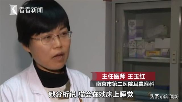 女孩耳朵总是沙沙作响，一查竟是因为“吸猫”