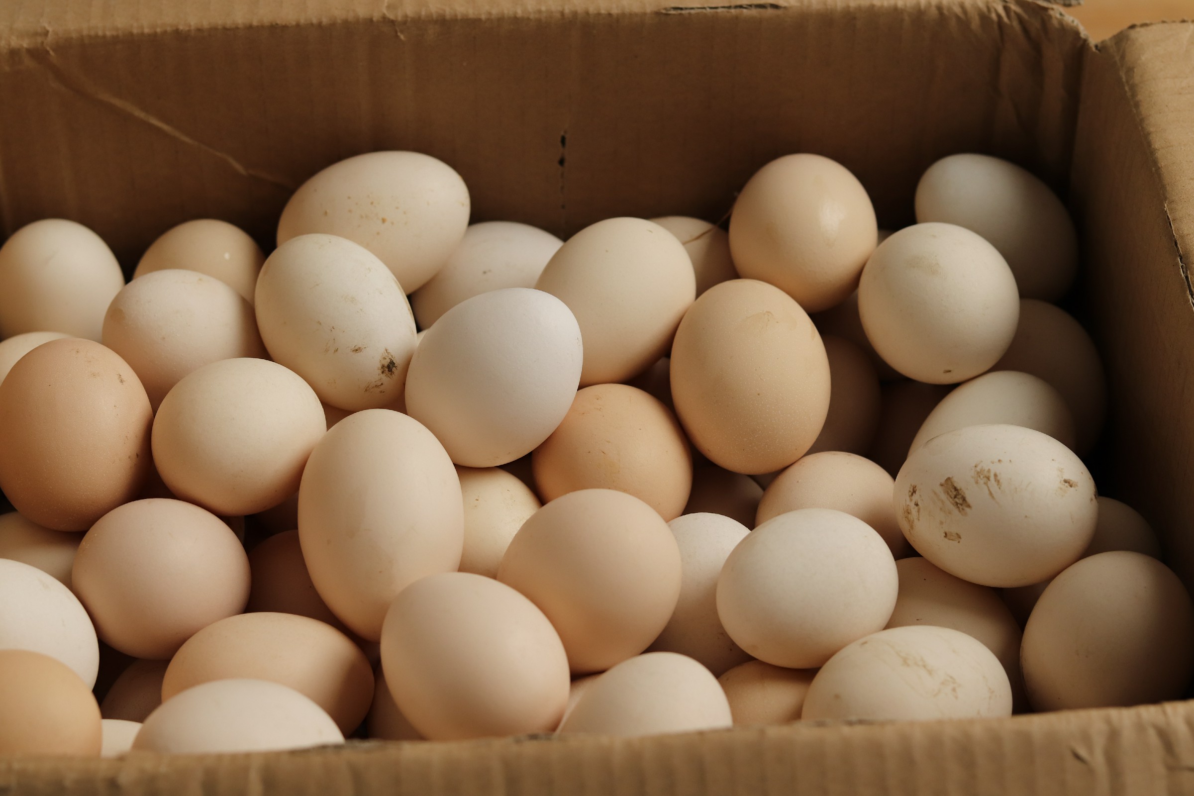 煮熟的鸡蛋放冰箱冷藏保存多久,煮熟带壳鸡蛋放冰箱可以保存几天