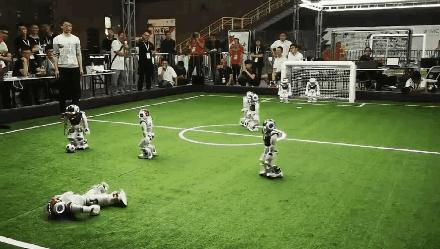 今天去这里的天津人都被逗乐了！没去的快看！