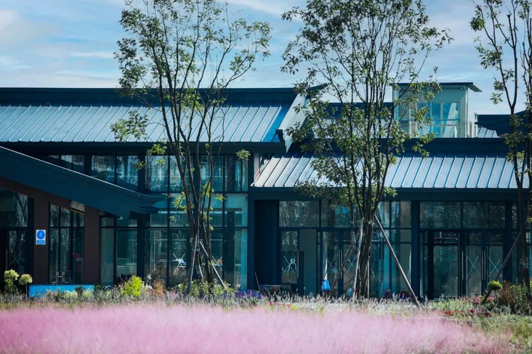 成都环城生态公园攻略,双流值得去的公园