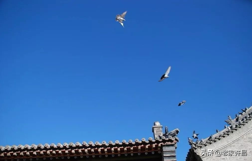 民间十大奇人奇事,许昌襄城县城关镇奇闻轶事