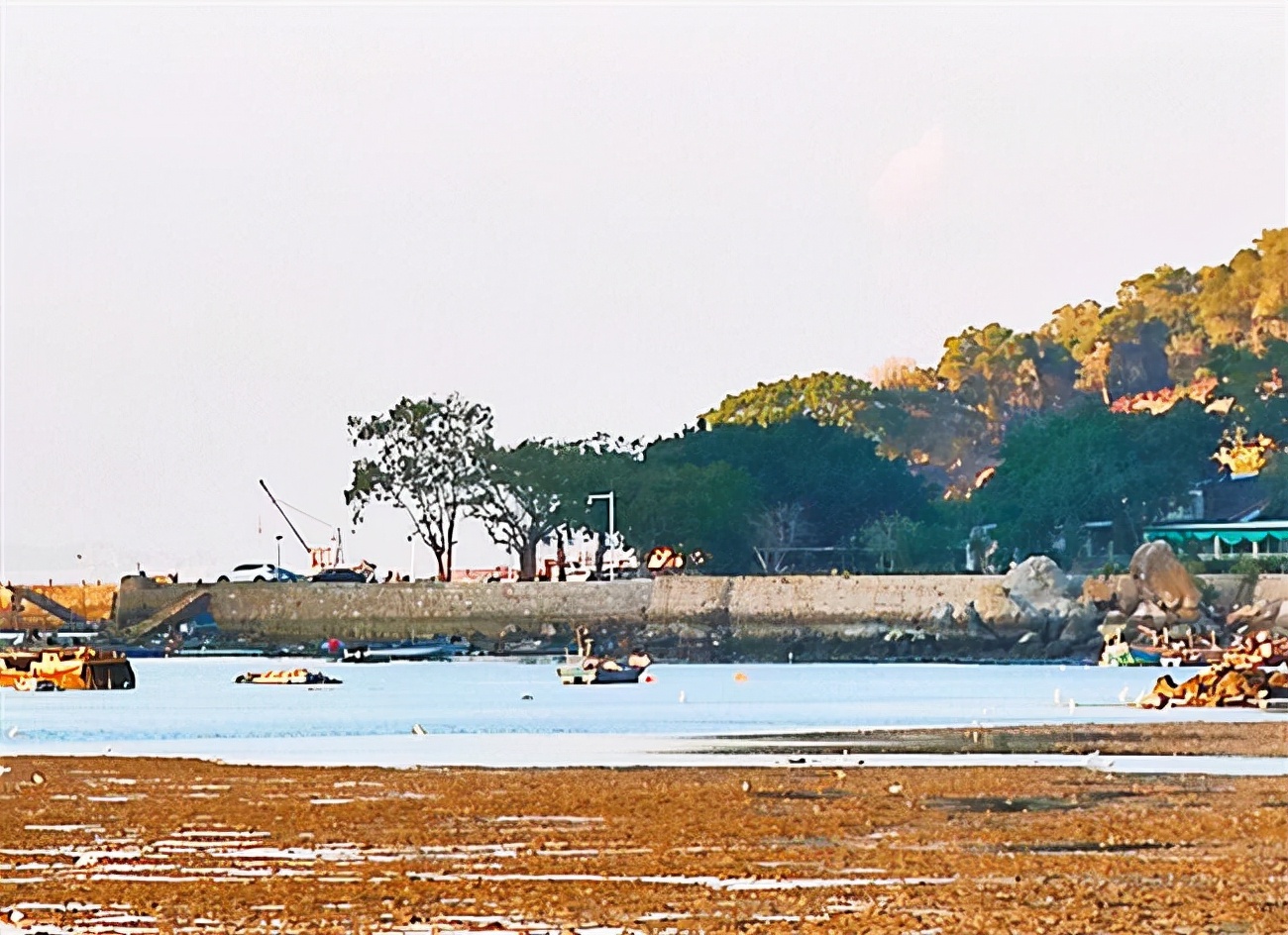 美丽乡村旅游用心感受自然之美,畅游美丽乡村享受快乐生活