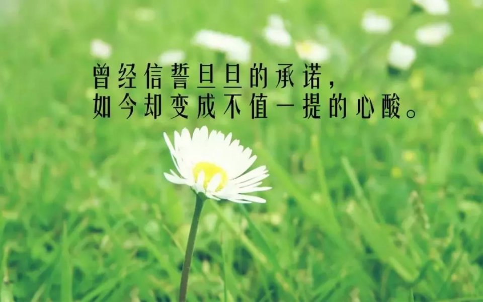 适合发朋友圈的人生感悟句句走心,适合发朋友圈感悟人生的心情语句