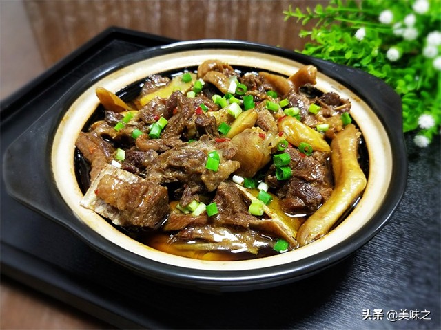 鸭肉100种做法,十五种鸭肉的做法大全