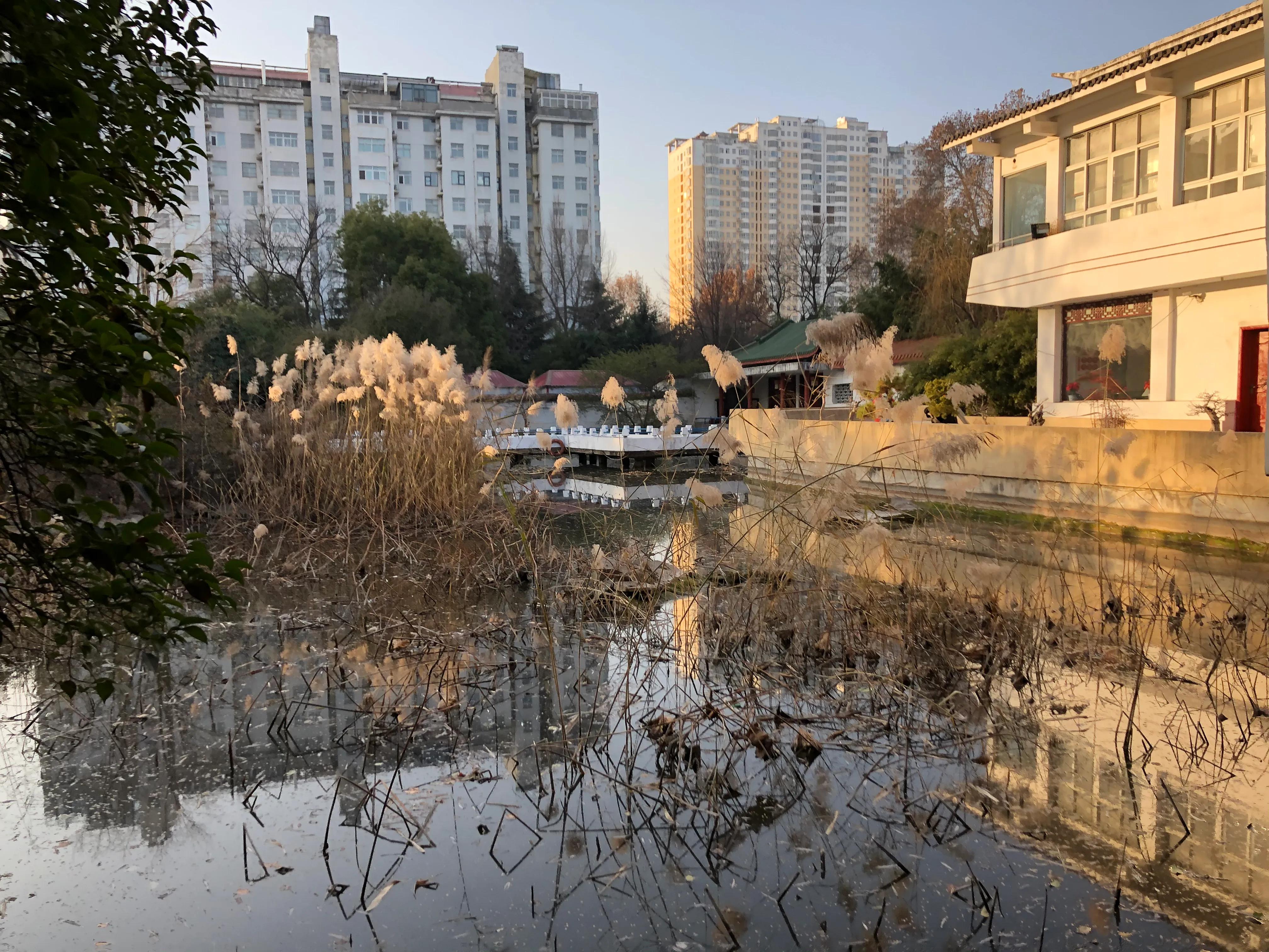 平顶山河滨公园旅游攻略,平顶山森林公园游记