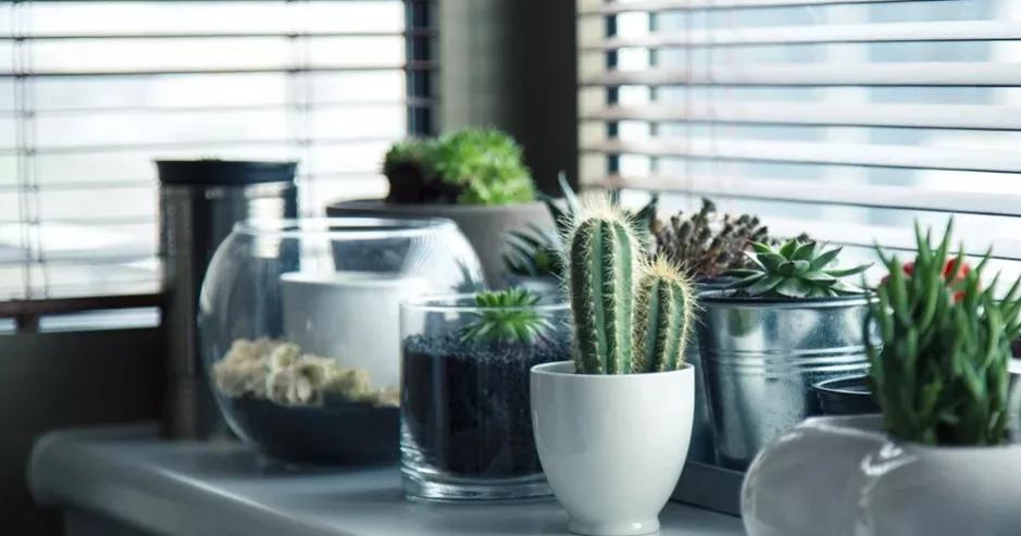 戴牙套第一天嘴被磨烂了,戴了两年半的牙套终于摘了