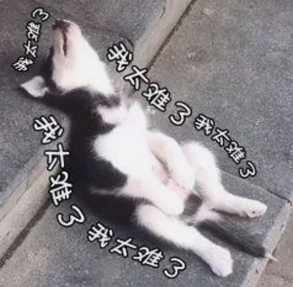 鍔ㄥ姏娌欐湁蹇呰涔板悧,娣辨墥濂界墿鎺ㄨ崘