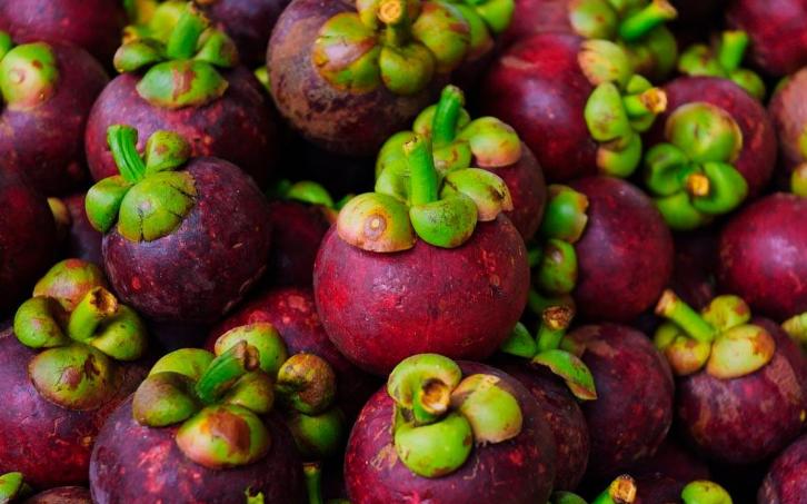 如何选到鲜甜山竹,怎样挑山竹山竹又甜又好吃皮薄