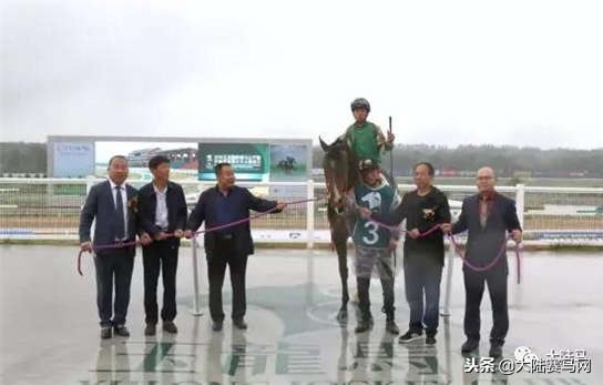 “苏萨”子嗣“玉龙宝石”问鼎马主联盟国产3岁纯血马争霸赛冠军