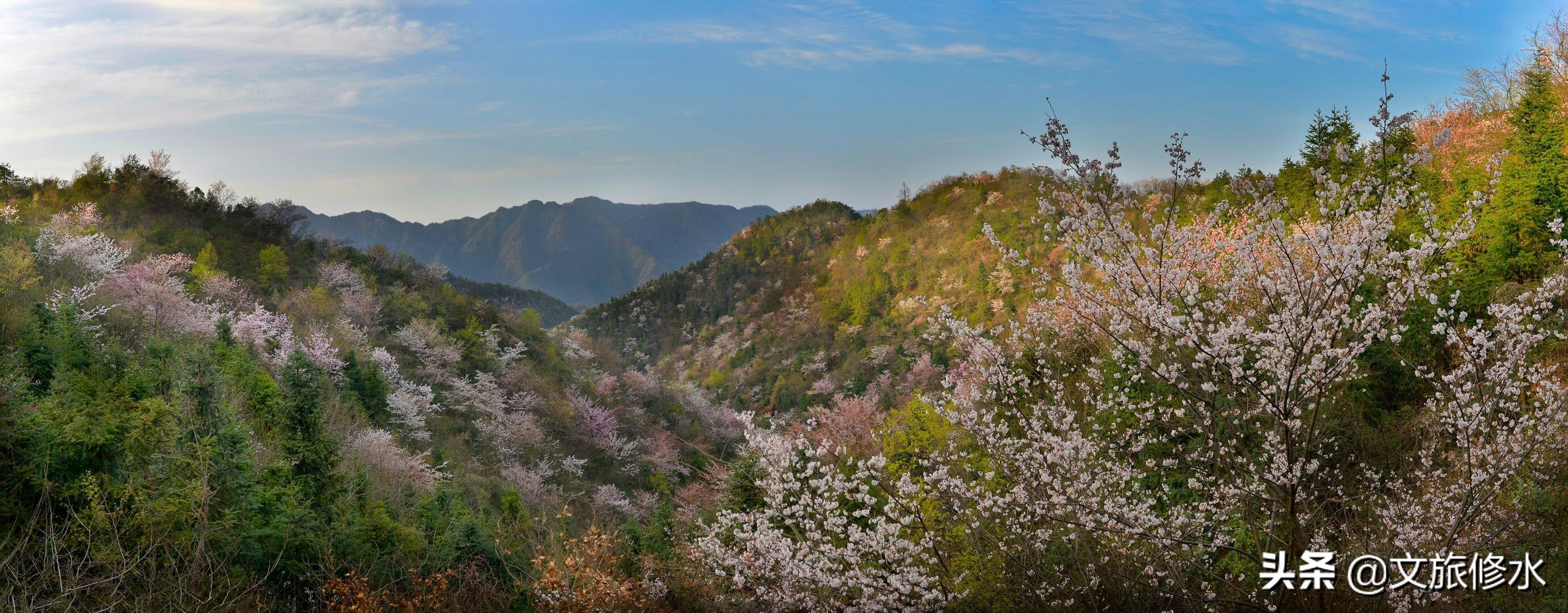 江西省最大县是哪里,江西省最大的十个县
