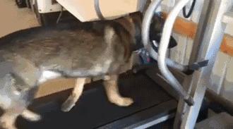 型男健身服,型男健身必备神器