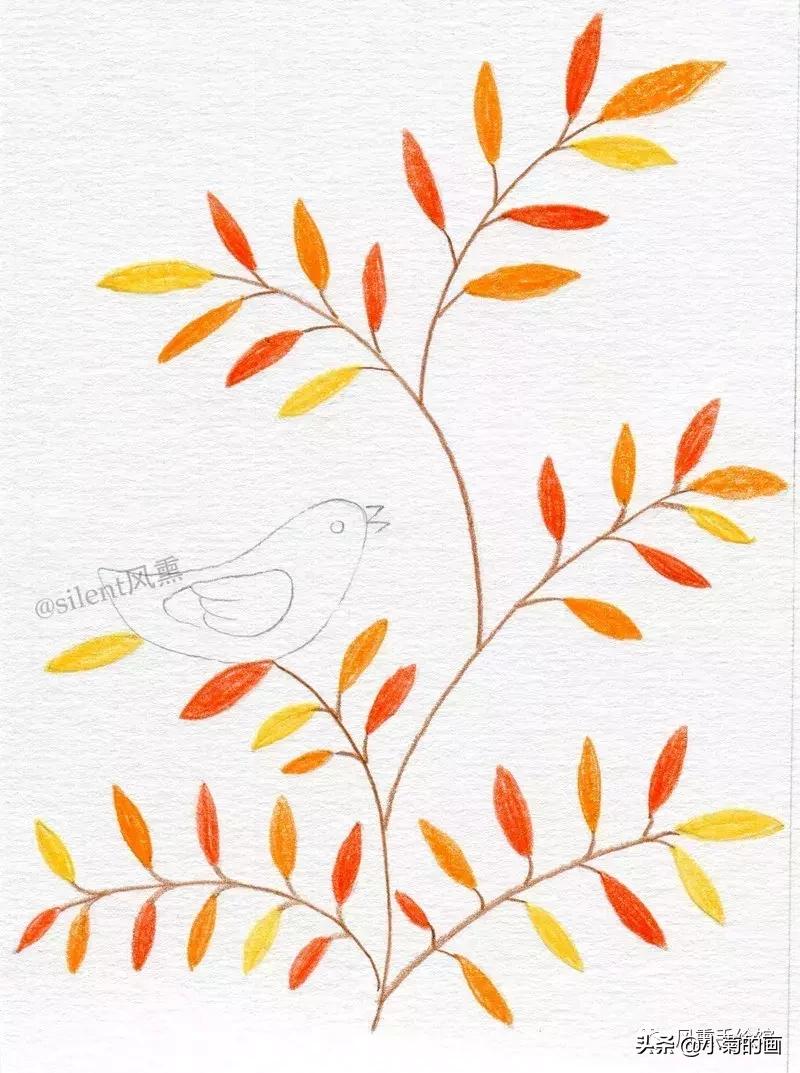 简单的彩铅小插画,彩铅森系小清新插画初学者