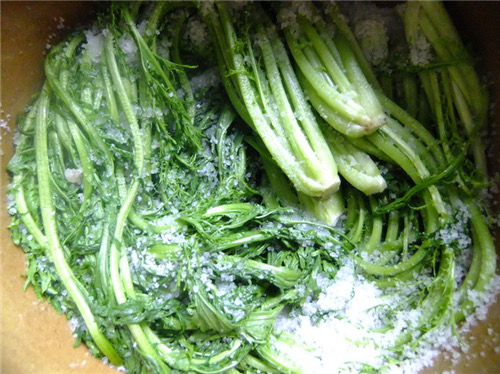 怎么腌雪菜才好吃,怎么腌雪菜好吃又简单