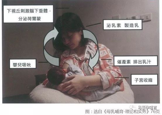 宝宝一直吸着奶不放是没吃饱吗,宝宝吃完还要吃是没吃饱吗