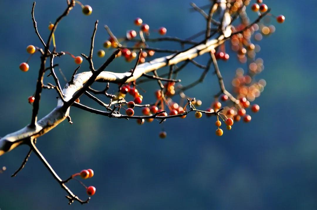 世界上90%的疾病都和情绪有关，不想生病的人一定要看看！