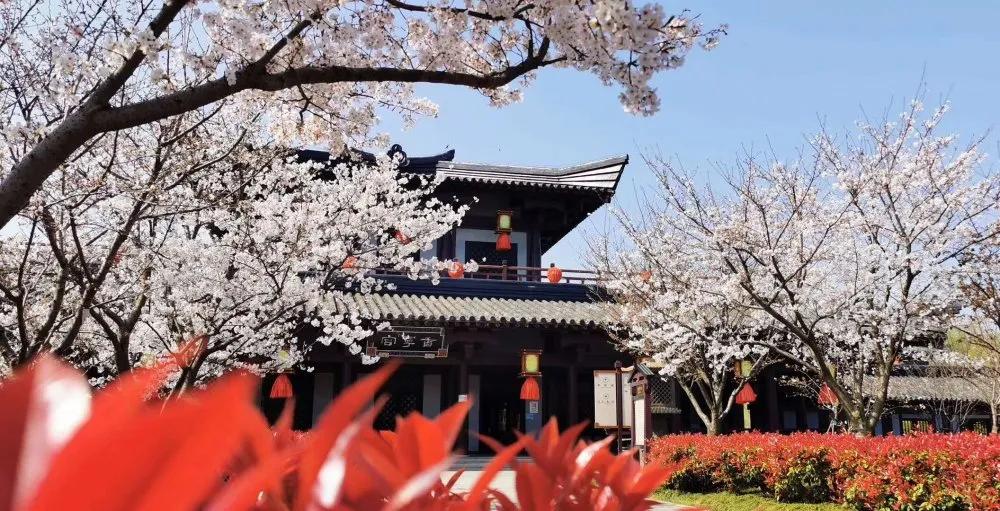 无锡三国城水浒城旅游视频,无锡三国水浒城一日游攻略自由行