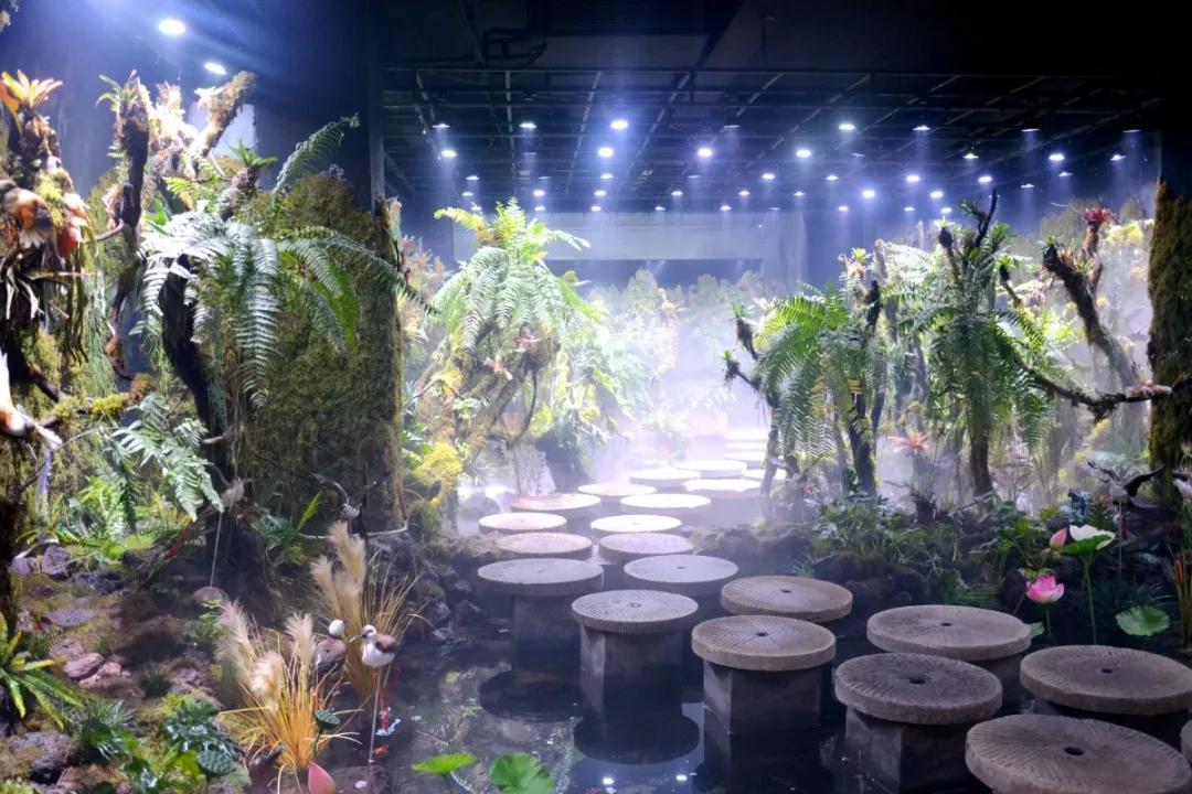 瞒不住了，孙悟空来聊城了，还带着“花果山”