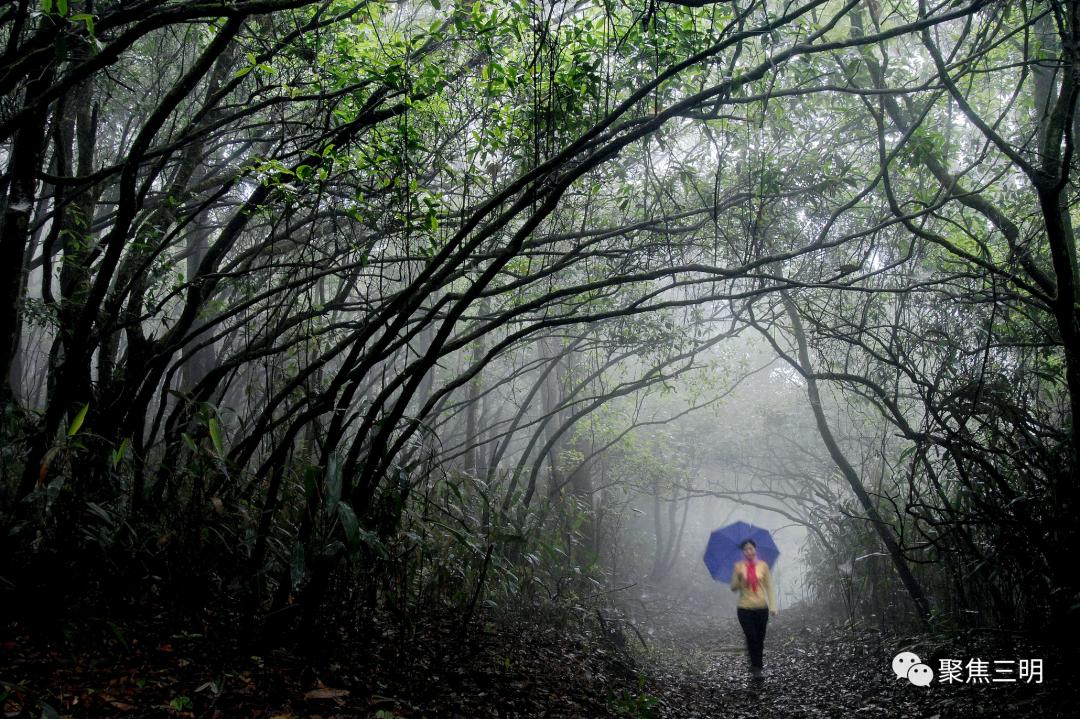 中国绿都最氧的三明将乐,中国绿都最氧三明康养之旅