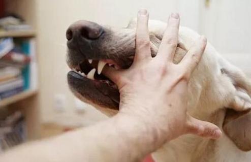 小时候被吓到有心理阴影怎么办,小时候受到惊吓怎么解决