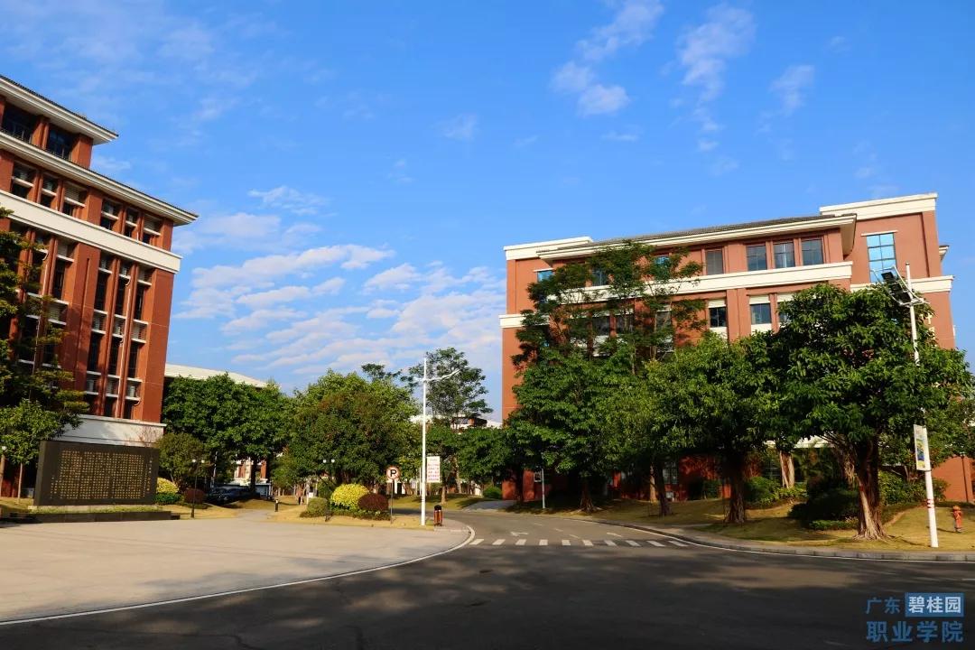 广东碧桂园职业学院有几个校区,广东碧桂园职业学院全免费