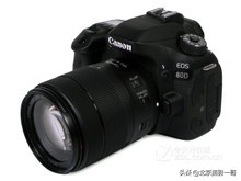 佳能相机新手选择,新手佳能单反照相机怎么选