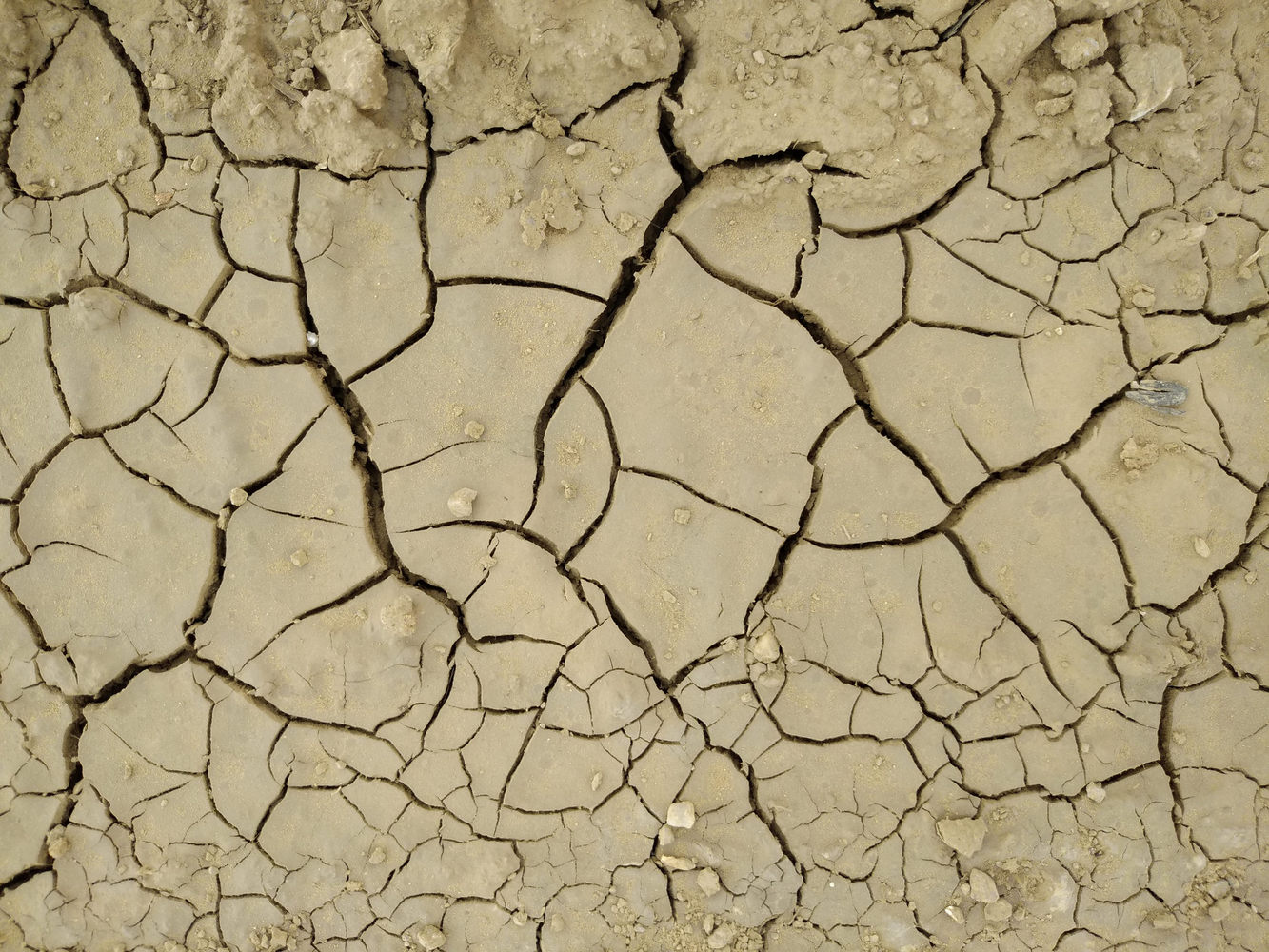 设计师福利模板,设计师必备100件用品