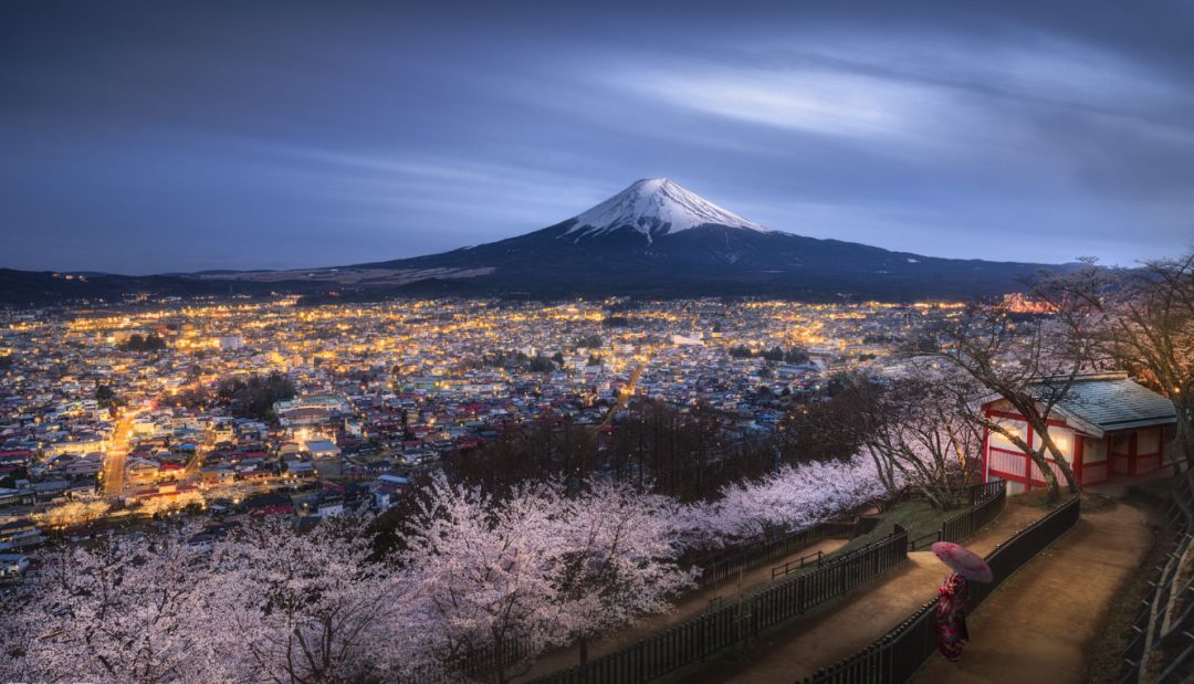 樱花前线2022年,2022第一场樱花