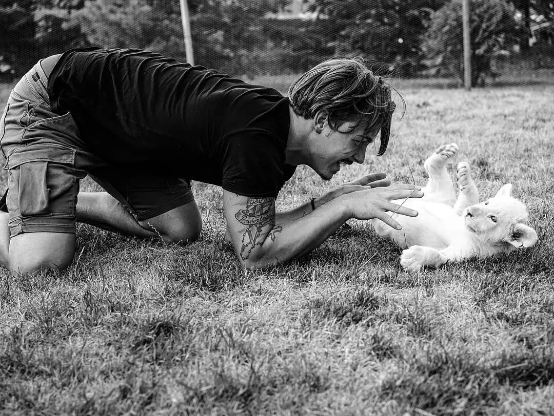 放弃百万年薪，去非洲撸猫？长腿版小李子引63w人舔屏：看我看我