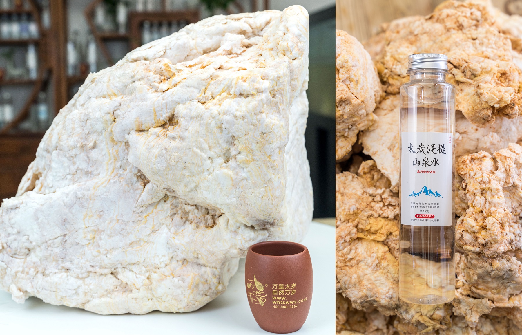 专访万皇太岁王大玮：传播太岁价值，践行药食同源，弘扬传统文化