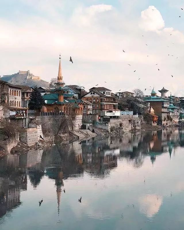 凯特王妃戴安娜,凯特王妃罗斯玛丽