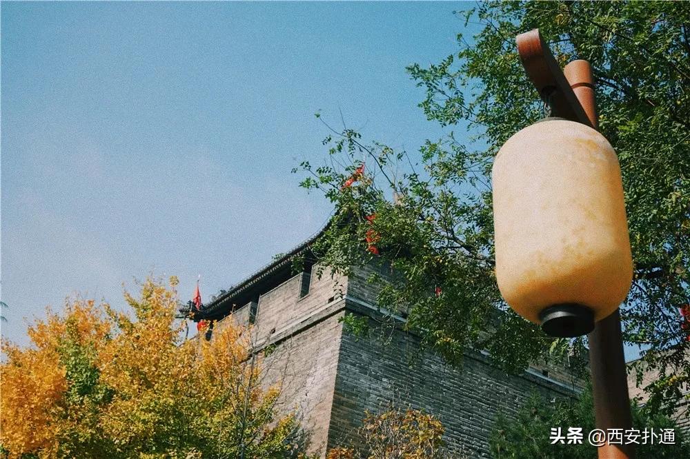 西安一个小网红,西安一个高高瘦瘦的网红