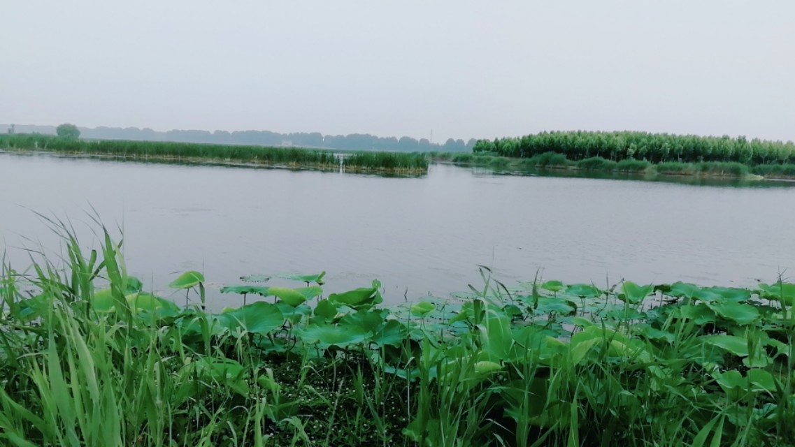 钓鱼没有技巧全靠资源,钓鱼没口怎么办让我来教你吧
