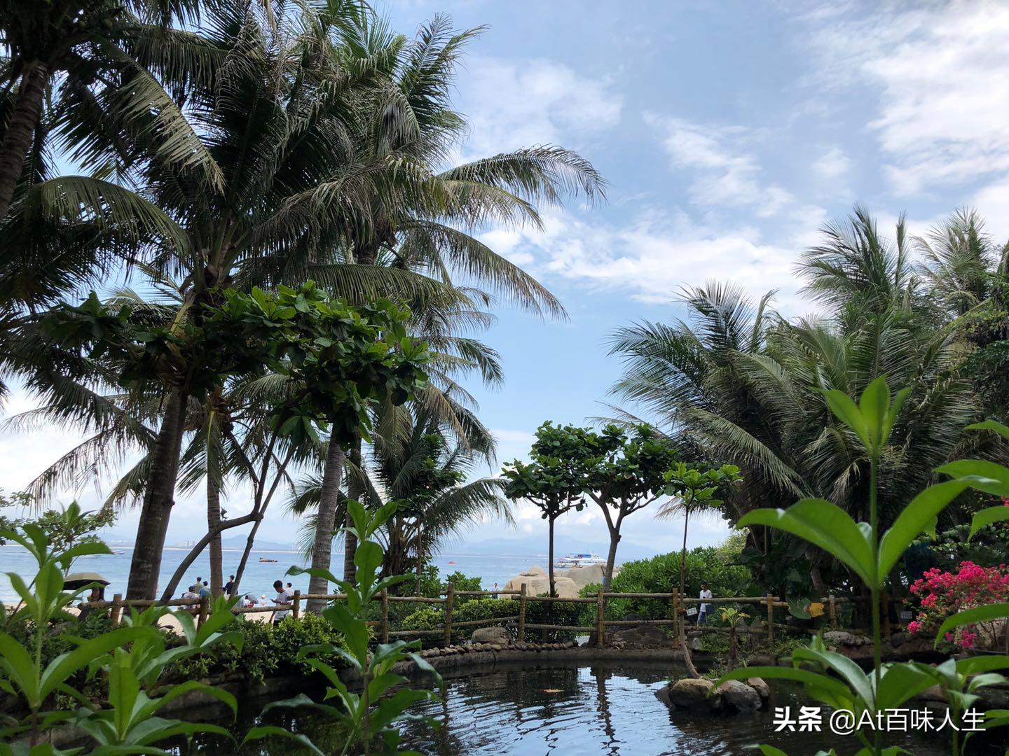 三亚亲子游攻略2-3岁儿童自由行,三亚12月旅游攻略3天自由行含机票