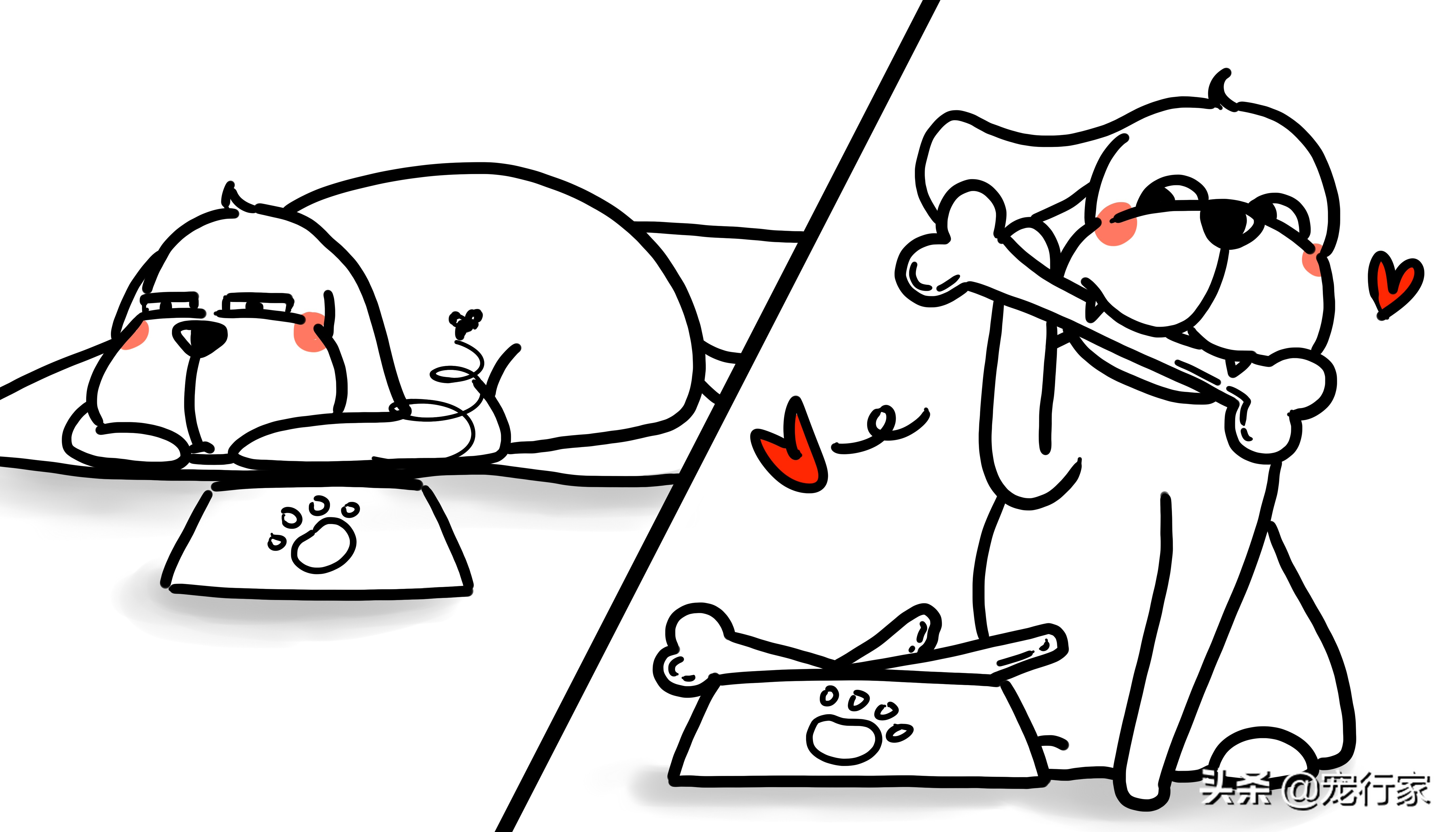 狗狗啃鸡骨头了怎么办,狗狗卡骨头解决方法