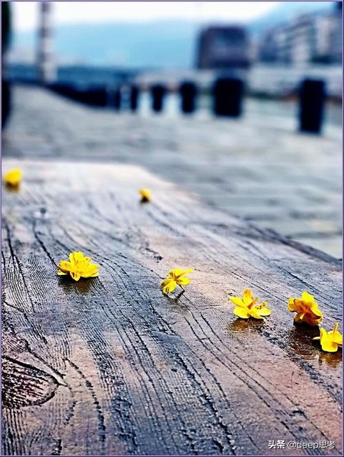 消失的爱人在婚姻中,消失的爱人婚姻阴影