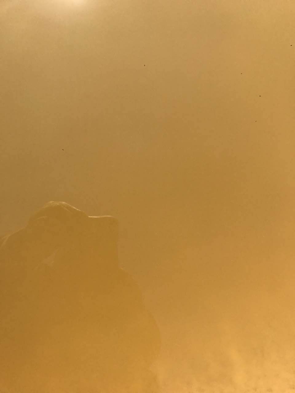 八种常见水产养殖水质！速来辨别你的池塘