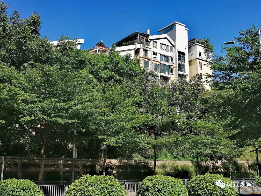 从清茶中飘出来的悠美短文！（文化观察之一O三）