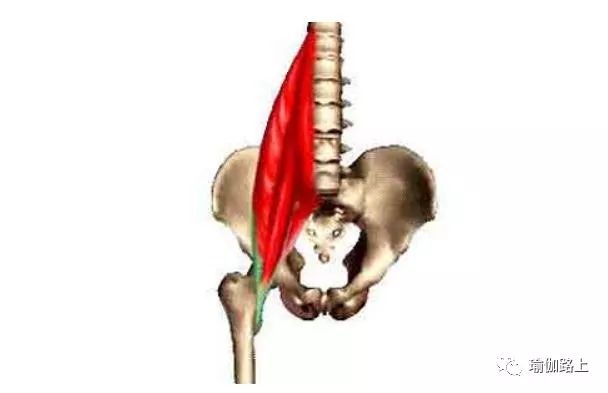 26腰痛可以试试这样拉伸,腰肌僵硬如何拉伸
