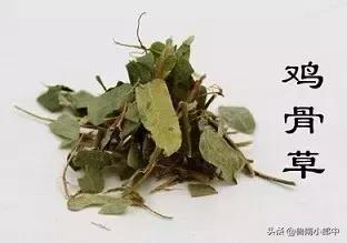 这些与“鸡”有关的中药，你见过几种？