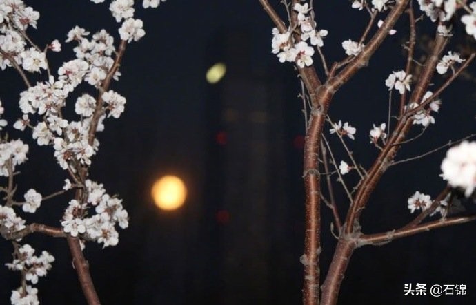 十句令人伤感的诗句,最让人忧伤的古诗句