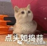 发了几条微信朋友圈共判赔80万,发了几条朋友圈赔80万