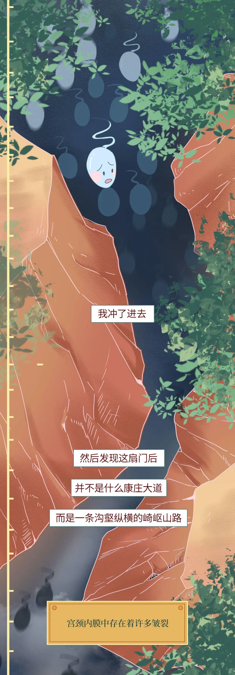 科普知识精子液化后的状态,男性精子在体内存活时间