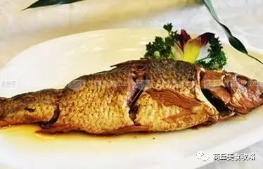 商丘五星级酒店投资多少钱,商丘星级酒店项目