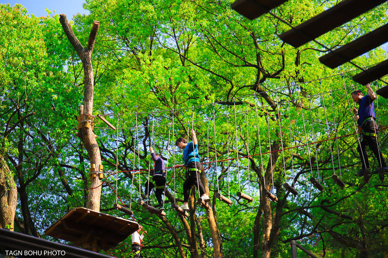 衢州常山春日旅游攻略,常山小众景点