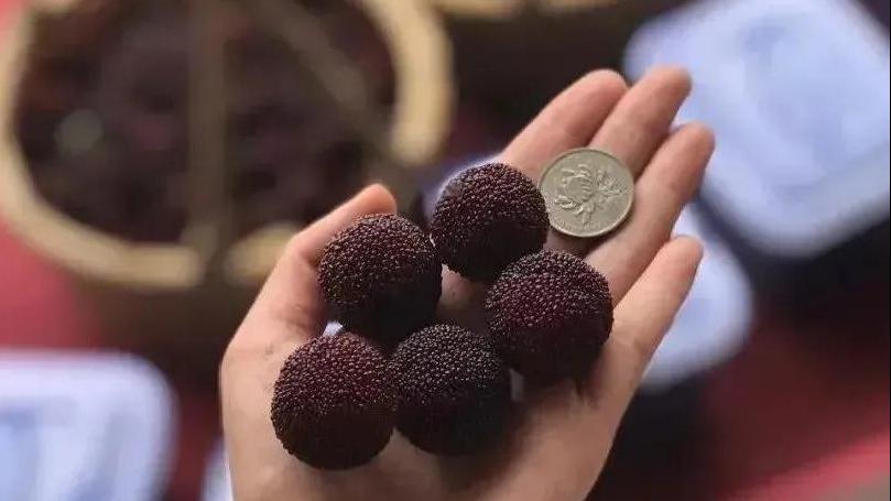 喜报!宁波市慈溪梅园村入选浙江省文明村名单啦