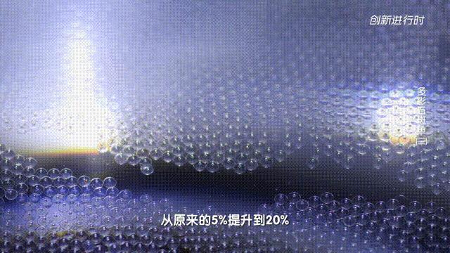 一条石斑鱼,一条石斑鱼一碗白饭