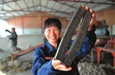 废秸秆变出大效益,秸秆利用的效益