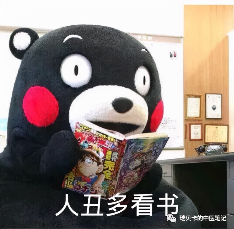 藏红花吃了可以治贫血吗,崩漏可以喝藏红花吗