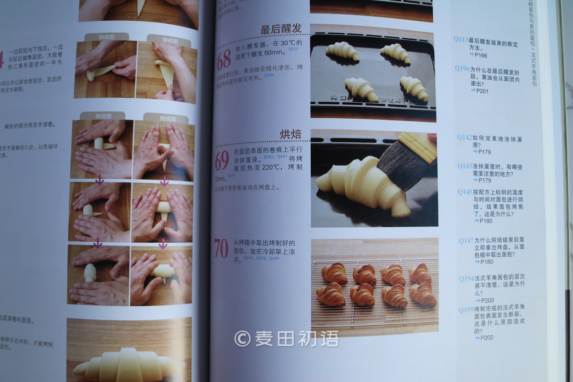 烘焙新手书,新手面包烘焙入门书