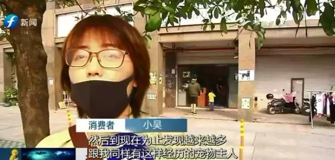 宠物狗买回来过几天病死怎么维权,厦门宠物店